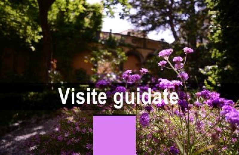 Visite guidate a Lucca - Sopra e sotto le Mura