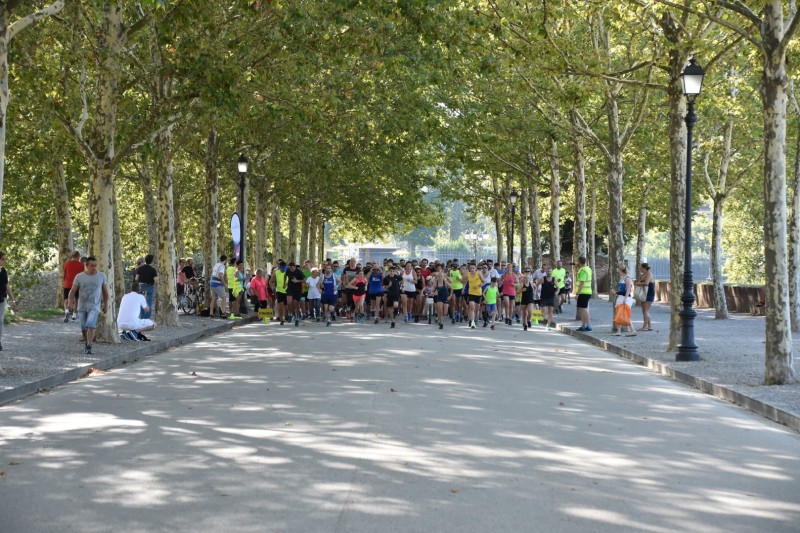 LUCCA PARK RUN